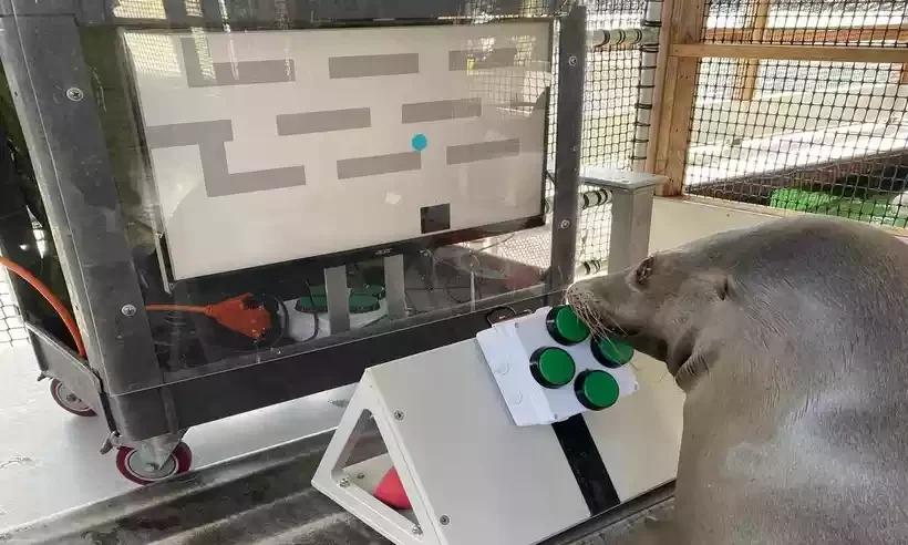 Reprodução/Twitter