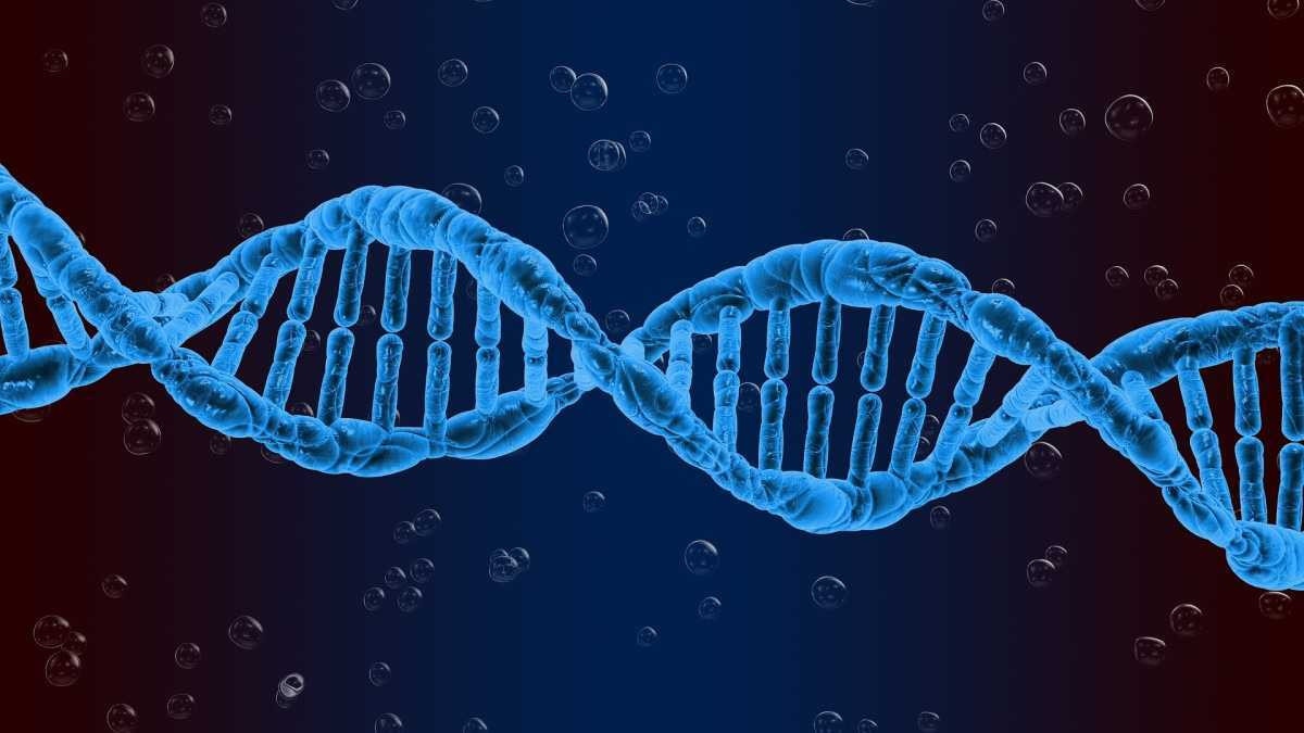 Cientistas identificam elemento genético que pode atuar no combate ao câncer