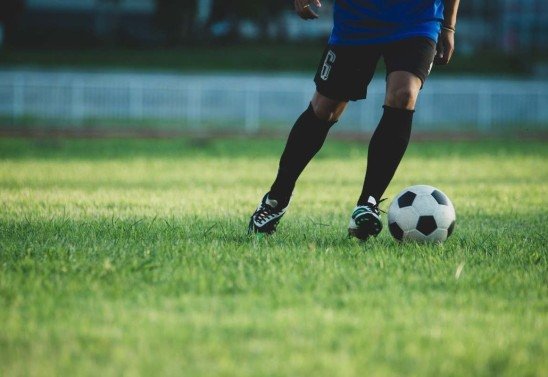 Reprodução/Freepik/PORNSAWAN