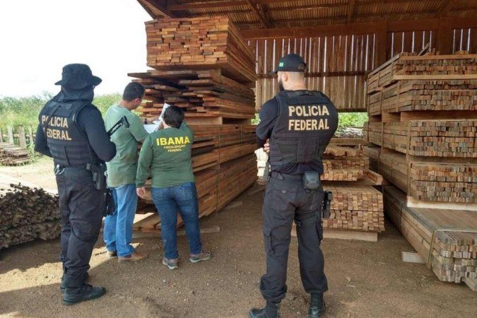 (crédito: Divulgação/Polícia Federal) (crédito: Divulgação/Polícia Federal)