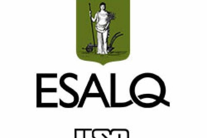 (crédito: Reprodução/ELSAQ) (crédito: Reprodução/ELSAQ)
