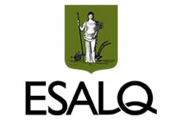  Fuvest anuncia 430 vagas para o vestibular da Esalq