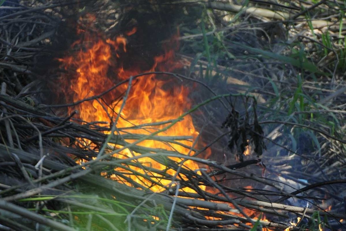 DF emite alerta para queimadas até o fim do período de seca na região