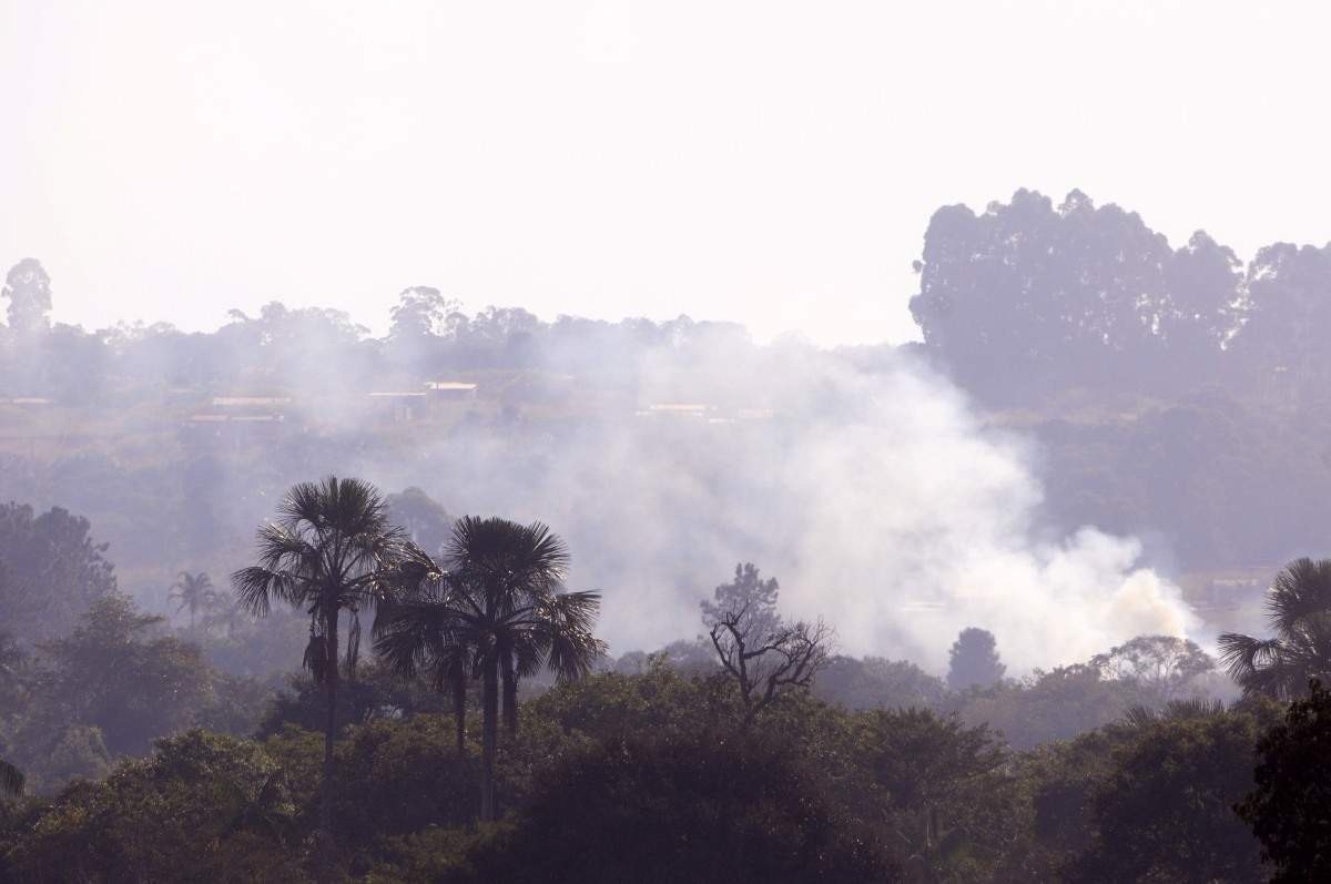 Artigo: Mercado de crédito de carbono: alternativa em defesa do meio ambiente