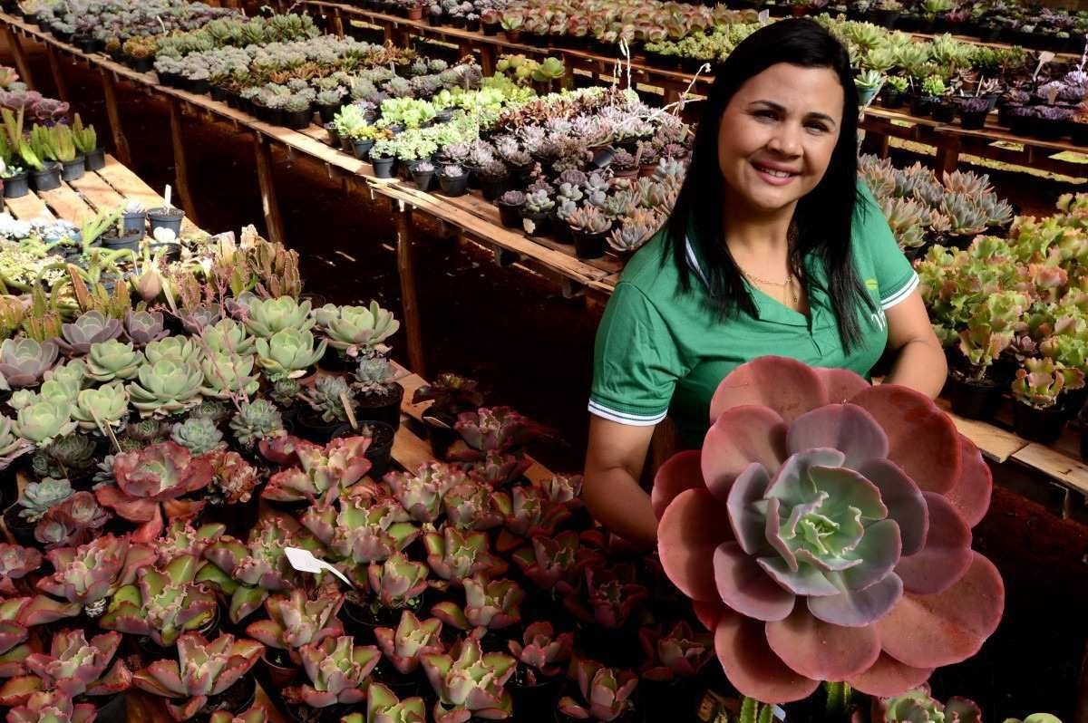 Desde que "adotou" as suculentas, as vendas de Alexia Oliveira cresceram seis vezes Desde que "adotou" as suculentas, as vendas de Alexia Oliveira cresceram seis vezes