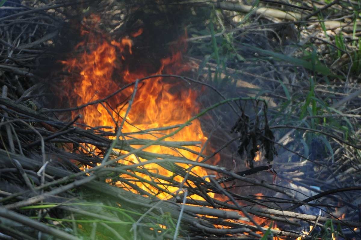 Período de seca no Distrito Federal acende alerta para doenças e queimadas