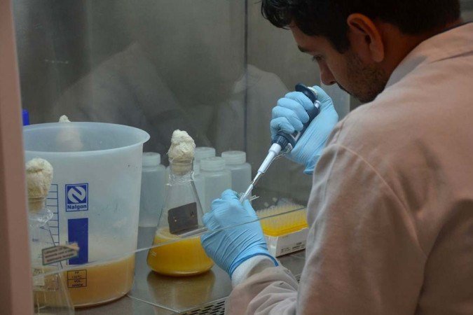 Empresas poderão utilizar espaços da Embrapa para desenvolver o negócio