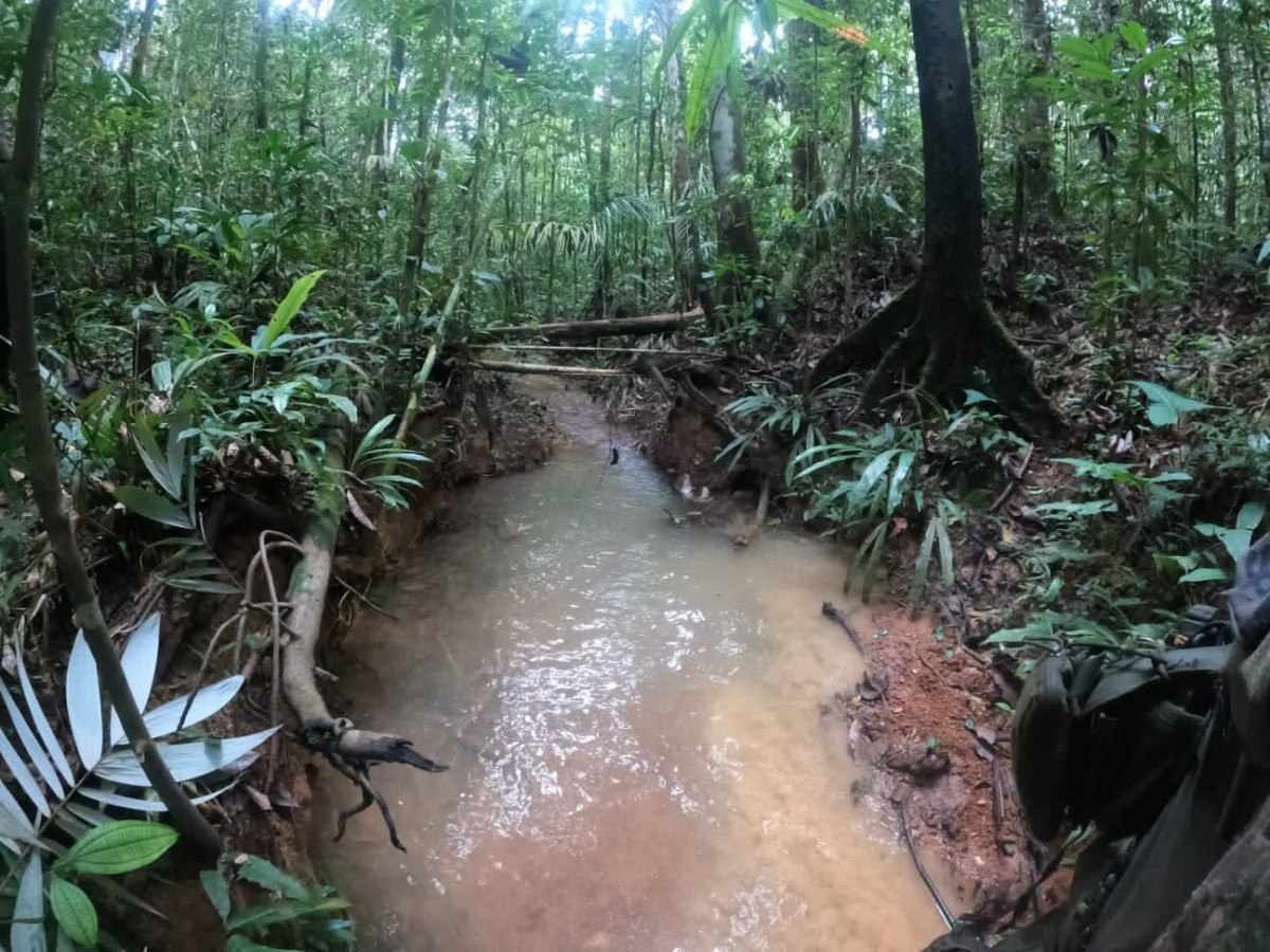 Colômbia recorre a satélites e rezas indígenas para achar crianças perdidas