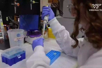 'A reinvenção do financiamento científico deve ir além de soluções técnicas ou orçamentárias' -  (crédito: Virginia Tech/Divulgação)