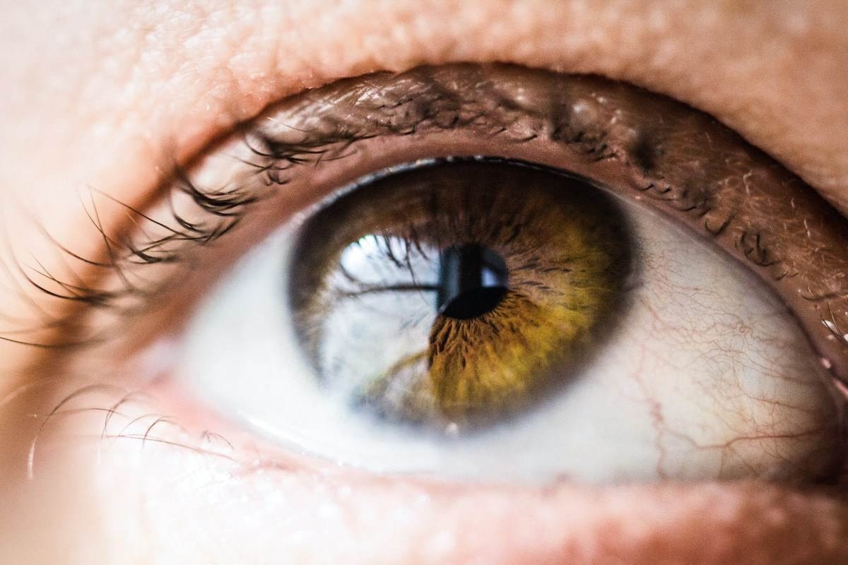 Primeiro transplante total de olho é realizado nos EUA; veja resultado