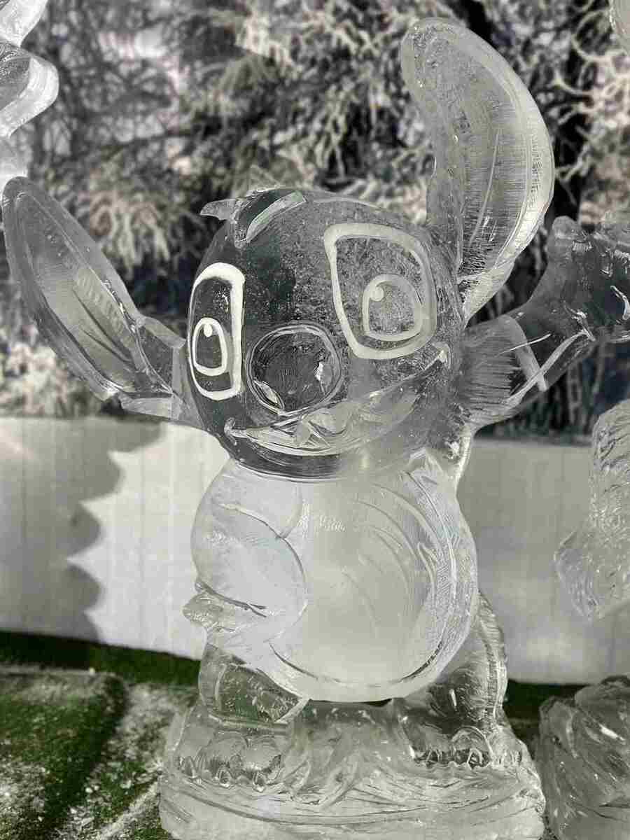 Expedição Ártico Neve e Gelo