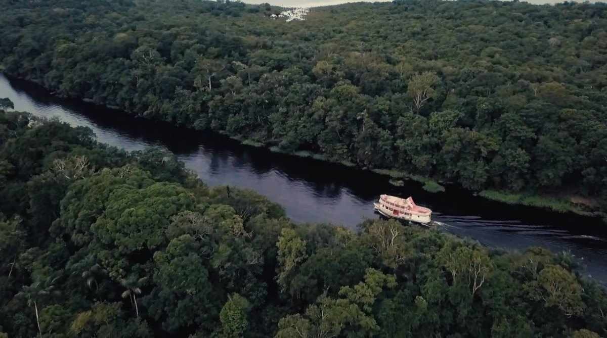 O STF a segurança jurídica: aplicação do novo Código Floresta