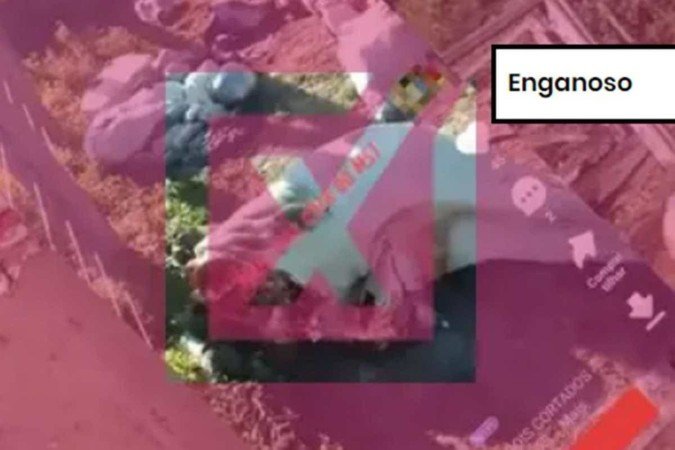  (crédito: Reprodução/Comprova)