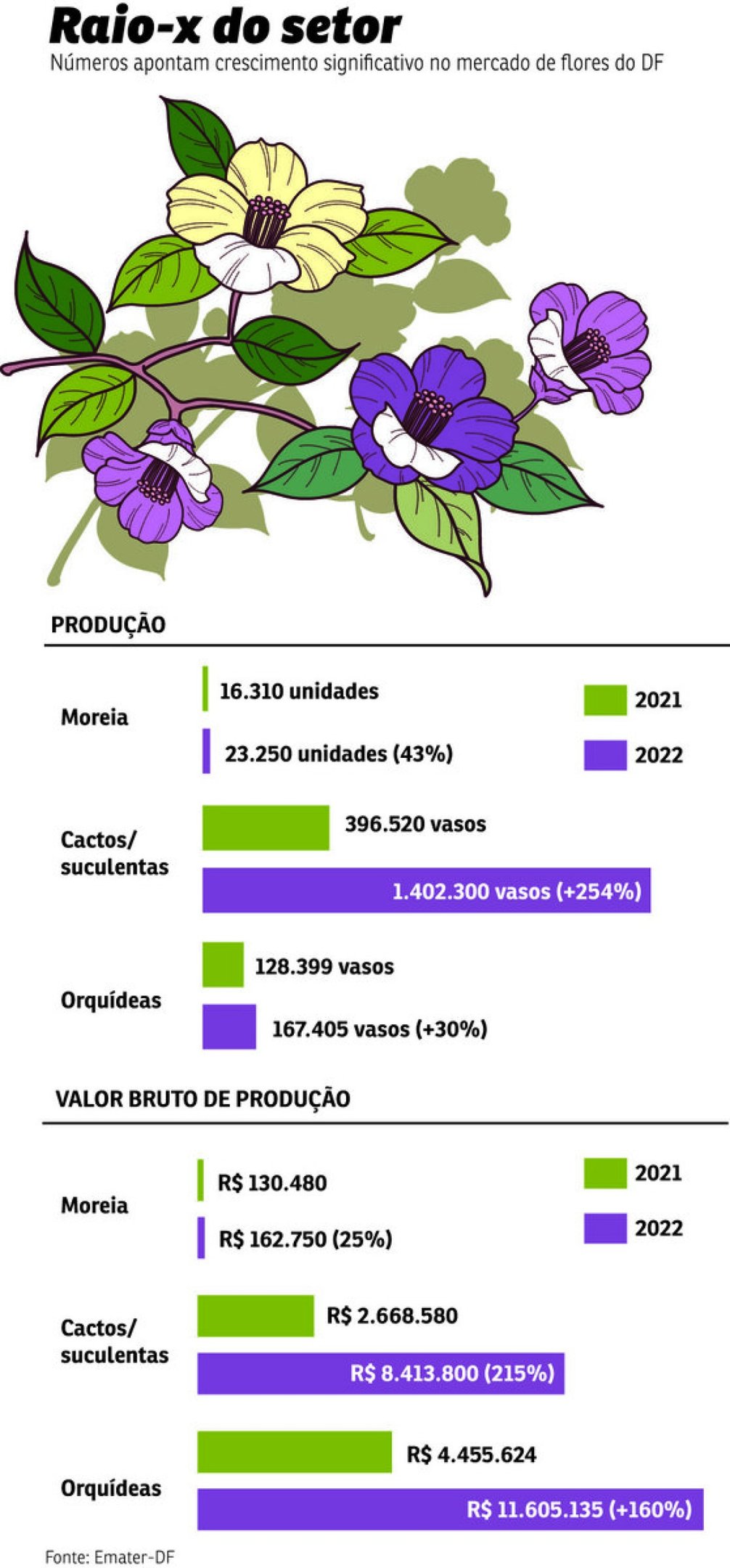 flores df flores df