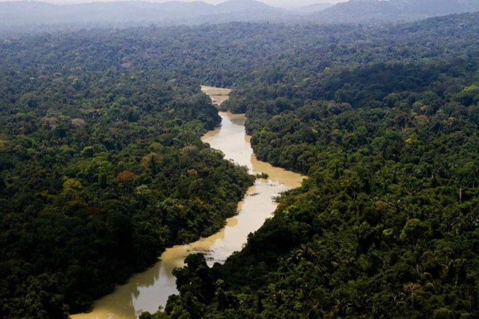 Crimes ocorreram no Parque Nacional do Jamanxim, no Pará -  (crédito: Senado Federal)