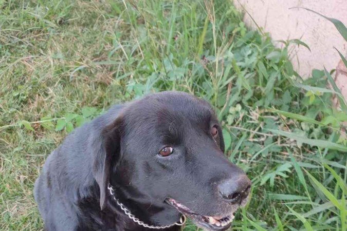 A fisioterapia ajudou Ulisses a superar problemas na coluna e nas vértebras