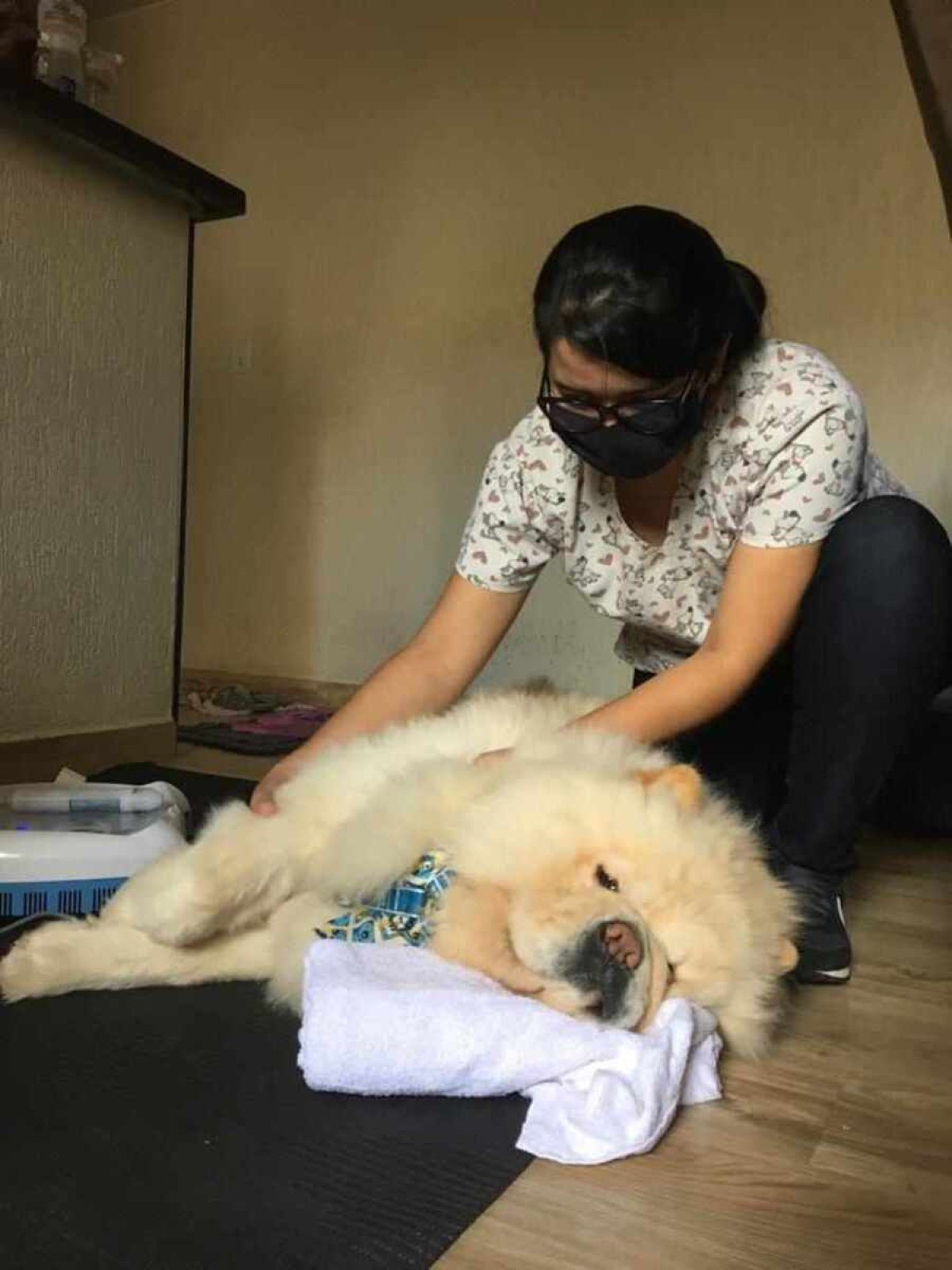 Dylan começou a fazer fisioterapia depois de descobrir uma malformação genética