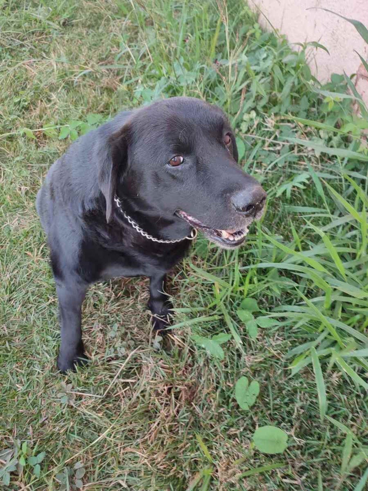 A fisioterapia ajudou Ulisses a superar problemas na coluna e nas vértebras