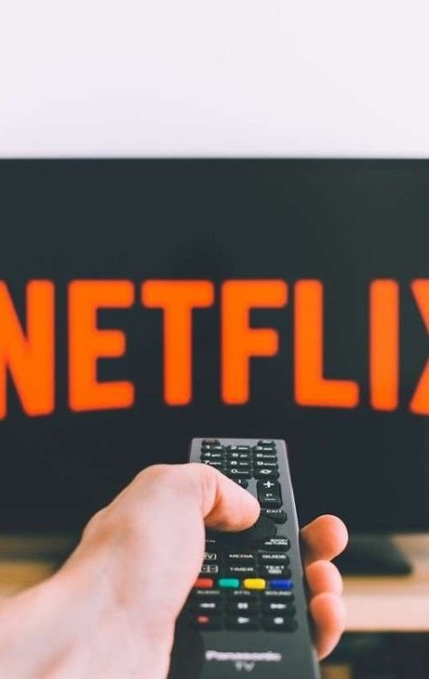 Preços começam em R$20,90 -  (crédito: freestocks/unsplash)