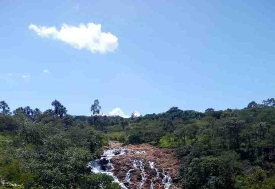  Reprodução/Site Parque ecologico de Ceilandia