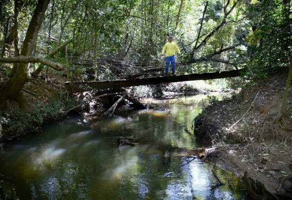 Antônio Moura, que faz reflorestamento e cuida da mata nativa perto do Córrego Sobradinho, pode se beneficiar da nova ferramenta -  (crédito:  Marcelo Ferreira/CB/D.A Press)