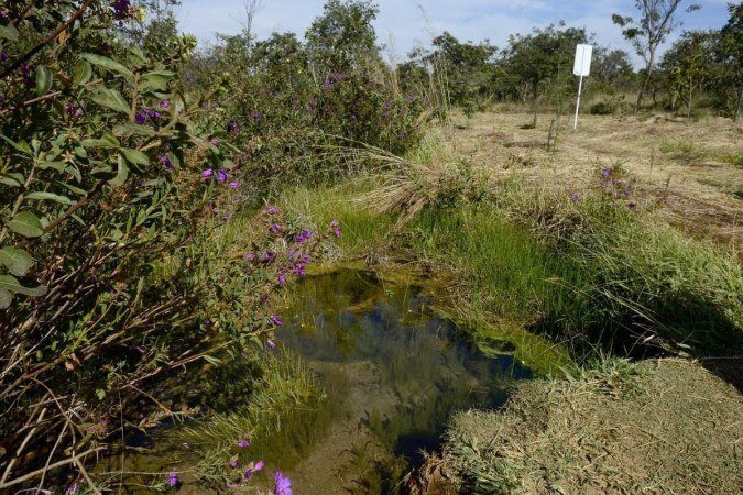  31/05/2023 Crédito: Marcelo Ferreira/CB/D.A Press. Brasil. Brasilia - DF -  Semana do meio ambiente. Parque Ecológico Veredinha em Brazlândia. Nascente no Parque Ecológico Veredinha.
