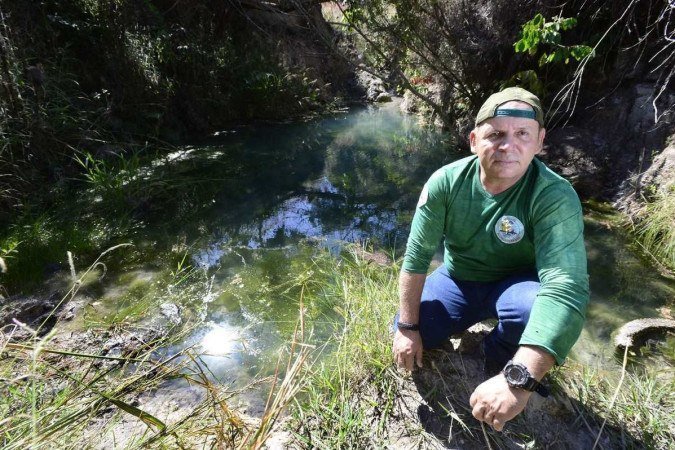 Edmi Moura ajudou a plantar 190 mil plantas nativas do Cerrado