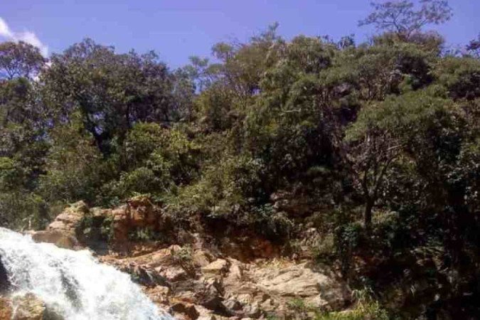  Crédito: Reprodução/Site Parque ecologico de Ceilandia. Cerrado pede socorro