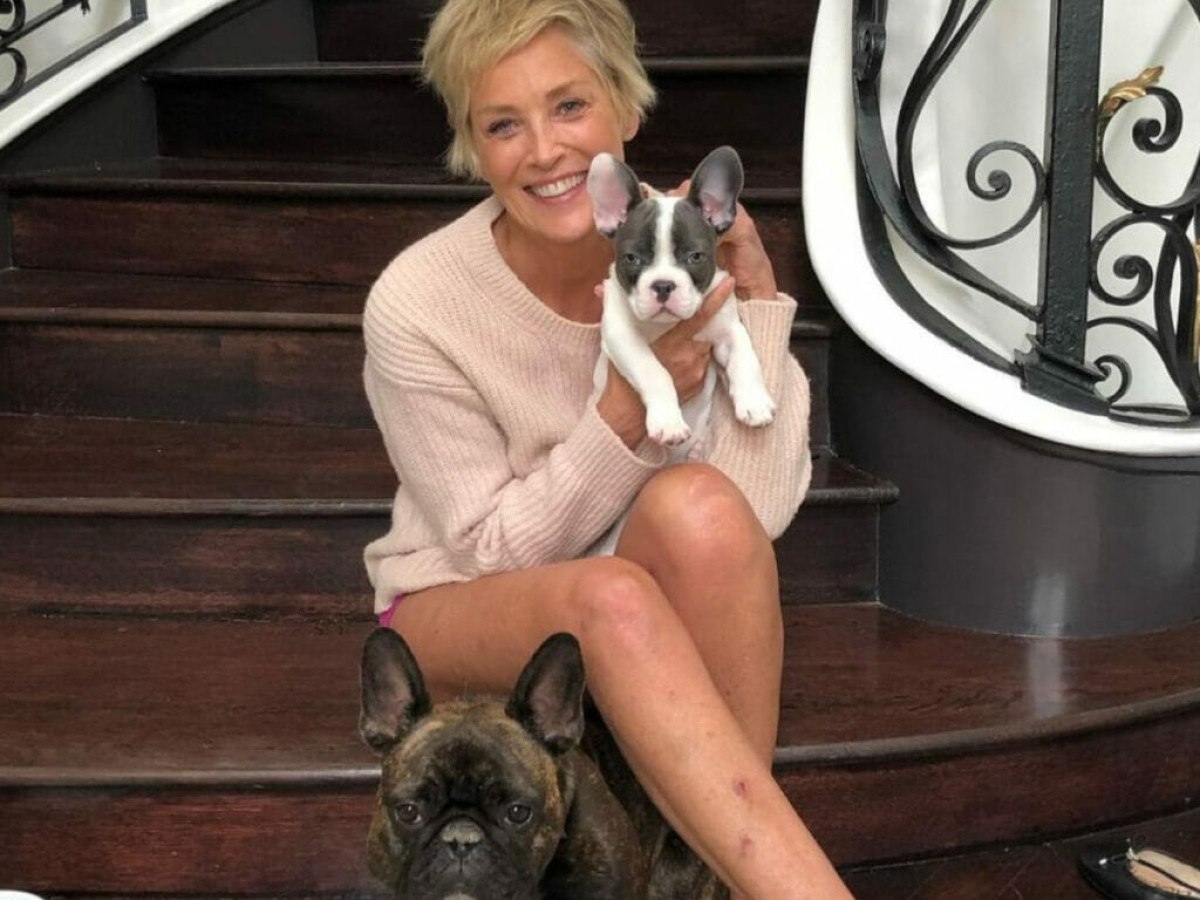 Sharon Stone fala sobre doença: 