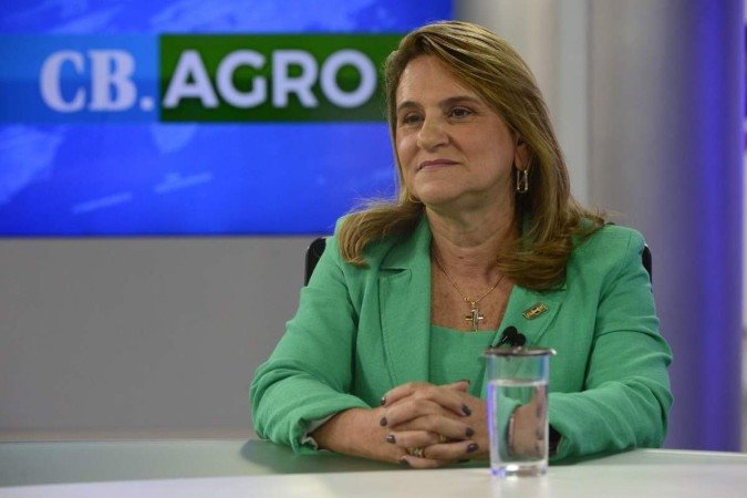 (crédito: Marcelo Ferreira/CB/D.A Press) (crédito: Marcelo Ferreira/CB/D.A Press)