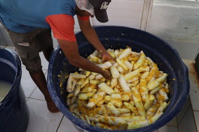 Agricultura familiar com base no cultivo de mandioca pode melhorar merenda escolar indígena - Agricultura familiar com base no cultivo de mandioca pode melhorar merenda escolar indígena -