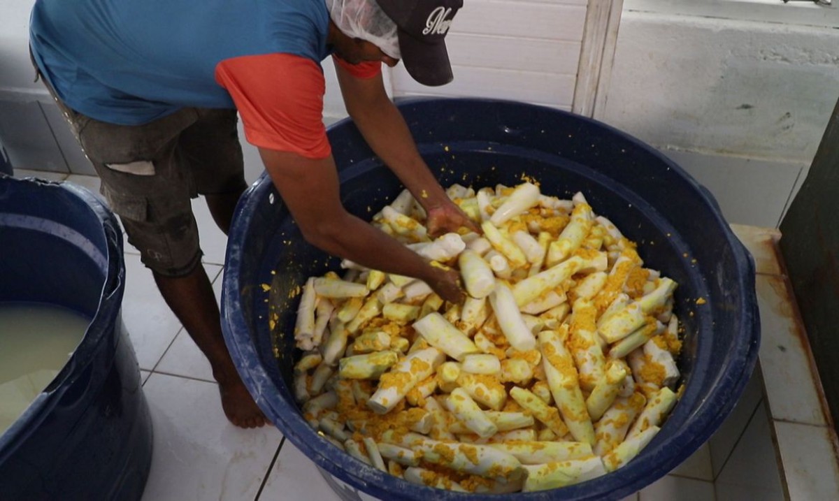 Agricultura familiar pode melhorar merenda escolar indígena