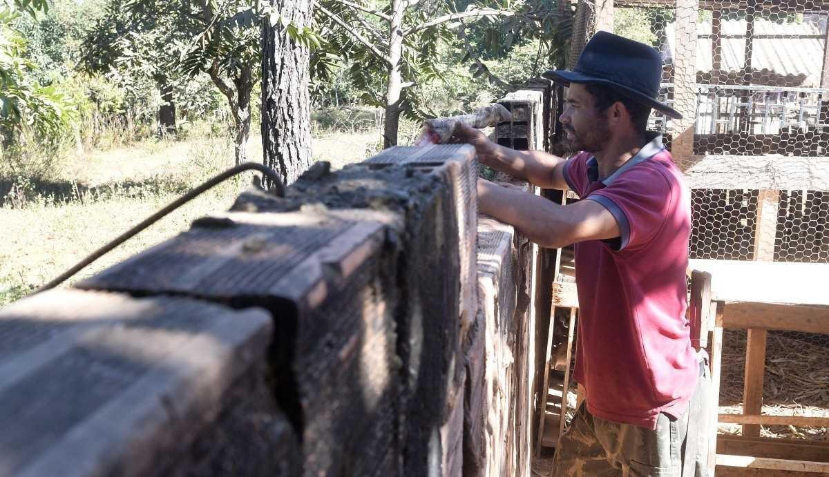 Onças amedrontam moradores em Valparaíso de Goiás