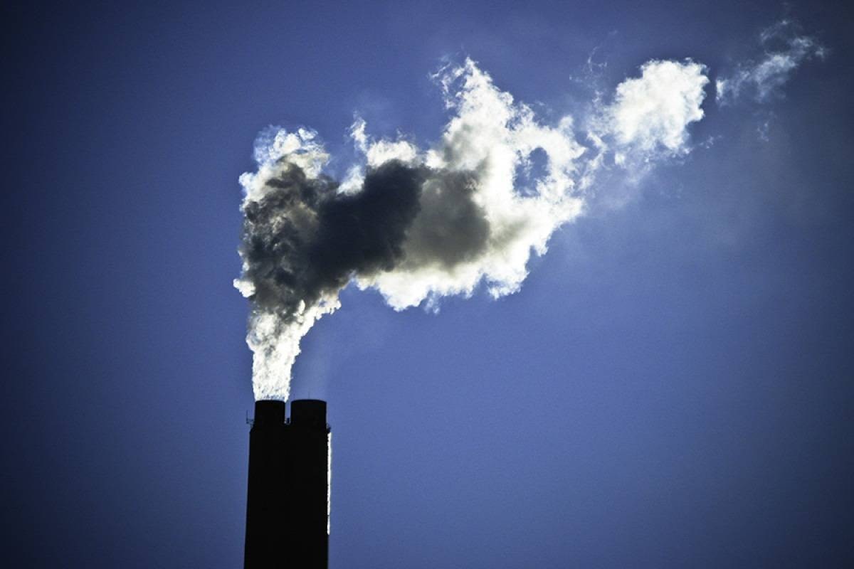 Senado quer votar novo mercado de carbono até a COP28