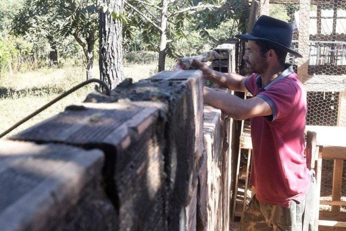 O caseiro da chácara, Carlos Alberto de Sousa, está de prontidão. Ele e vizinhos viram uma onça de cor escura no local antes do ataque - (crédito: Fotos: Ed Alves/CB/DA.Press) O caseiro da chácara, Carlos Alberto de Sousa, está de prontidão. Ele e vizinhos viram uma onça de cor escura no local antes do ataque - (crédito: Fotos: Ed Alves/CB/DA.Press)