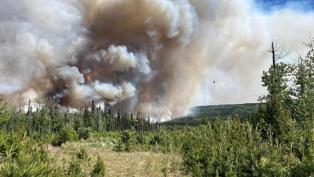 Fumaça tóxica transforma a rotina nos Estados Unidos e no Canadá