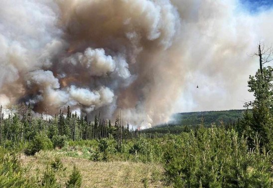 Fumaça de incêndios florestais nos EUA é mais tóxica do que se pensava