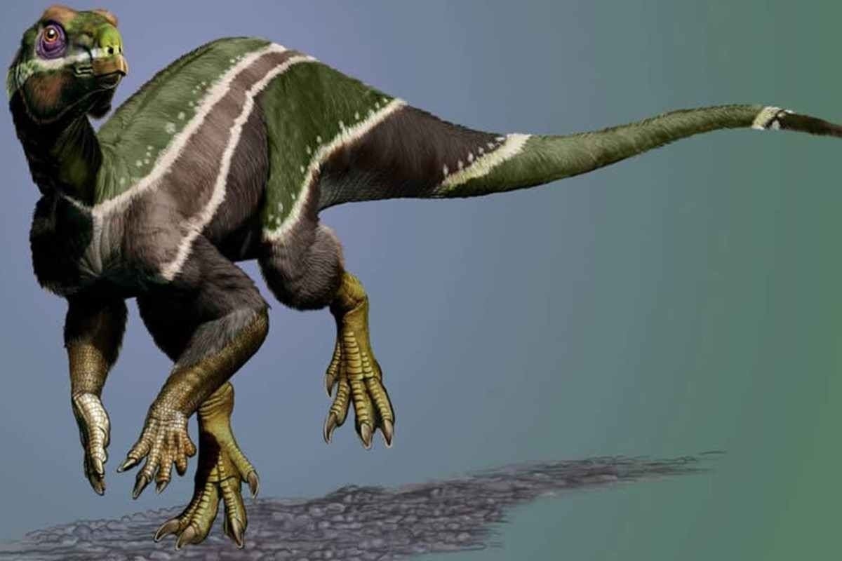 Novo dinossauro descoberto tem armadura de espinhos nunca antes vista -  TecMundo