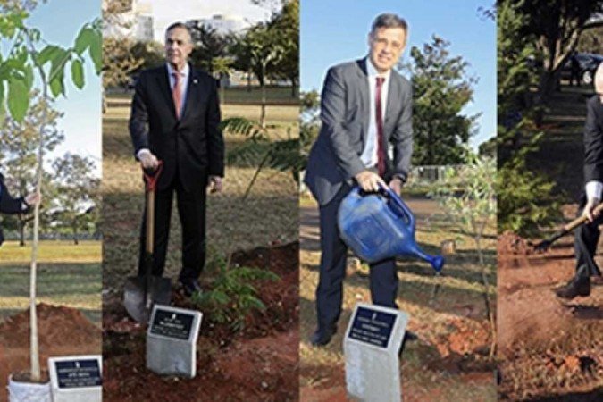 Ministros do Supremo plantam árvores no bosque dos ministros