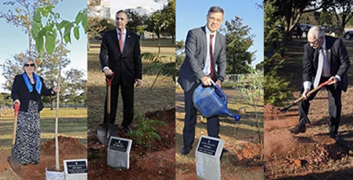 Ministros do Supremo plantam árvores no bosque dos ministros