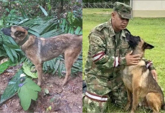 Divulgação/Fuerzas Militares de Colombia