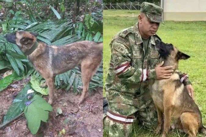 (crédito: Divulgação/Fuerzas Militares de Colombia) (crédito: Divulgação/Fuerzas Militares de Colombia)