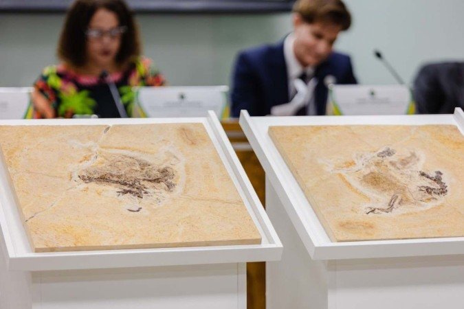 (crédito: Ministério da Ciência, Tecnologia e Inovação) (crédito: Ministério da Ciência, Tecnologia e Inovação)