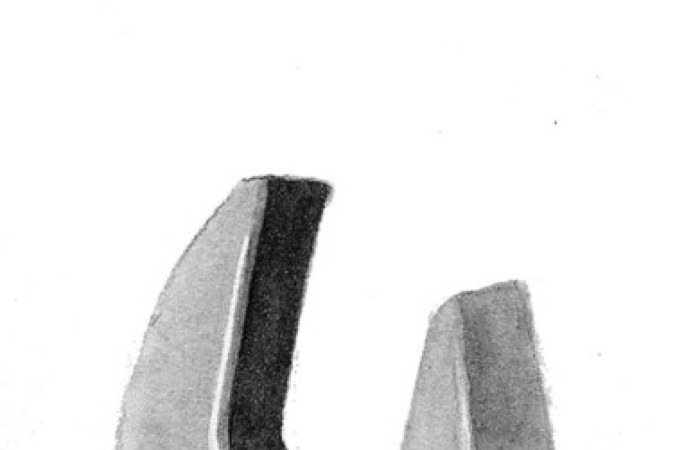 opini1406 -  (crédito: kleber sales)