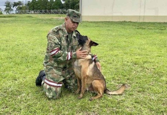 Forças Militares da Colômbia