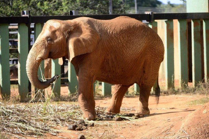 Atrações como a Esquadrilha da Fumaça, cachoeiras, parques e o zoológico são diversão na certa