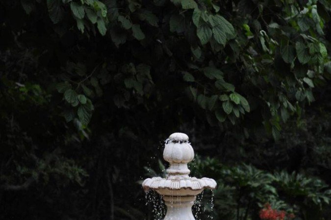  15/06/2023. Crédito: Minervino Júnior/CB/D.A Press. Brasil.  Brasilia - DF. Trilhas no Jardim Botânico de Brasília. 