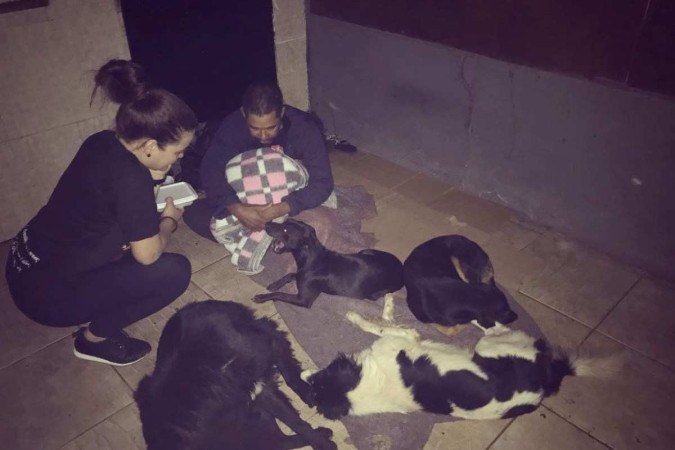 Projeto ACR doa comida a pessoas e ração a animais em situação de rua no Gama - (crédito: Arquivo pessoal) Projeto ACR doa comida a pessoas e ração a animais em situação de rua no Gama - (crédito: Arquivo pessoal)