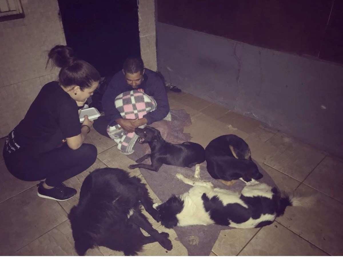 Quer ser o melhor amigo dos pets de rua? Saiba como salvar os animais do frio