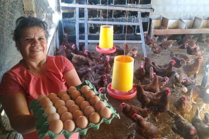 Tânia Aparecida Gomes produz ovos caipira há seis meses, em São Sebastião - (crédito: Pedro Marra/CB/D.A. Press) Tânia Aparecida Gomes produz ovos caipira há seis meses, em São Sebastião - (crédito: Pedro Marra/CB/D.A. Press)
